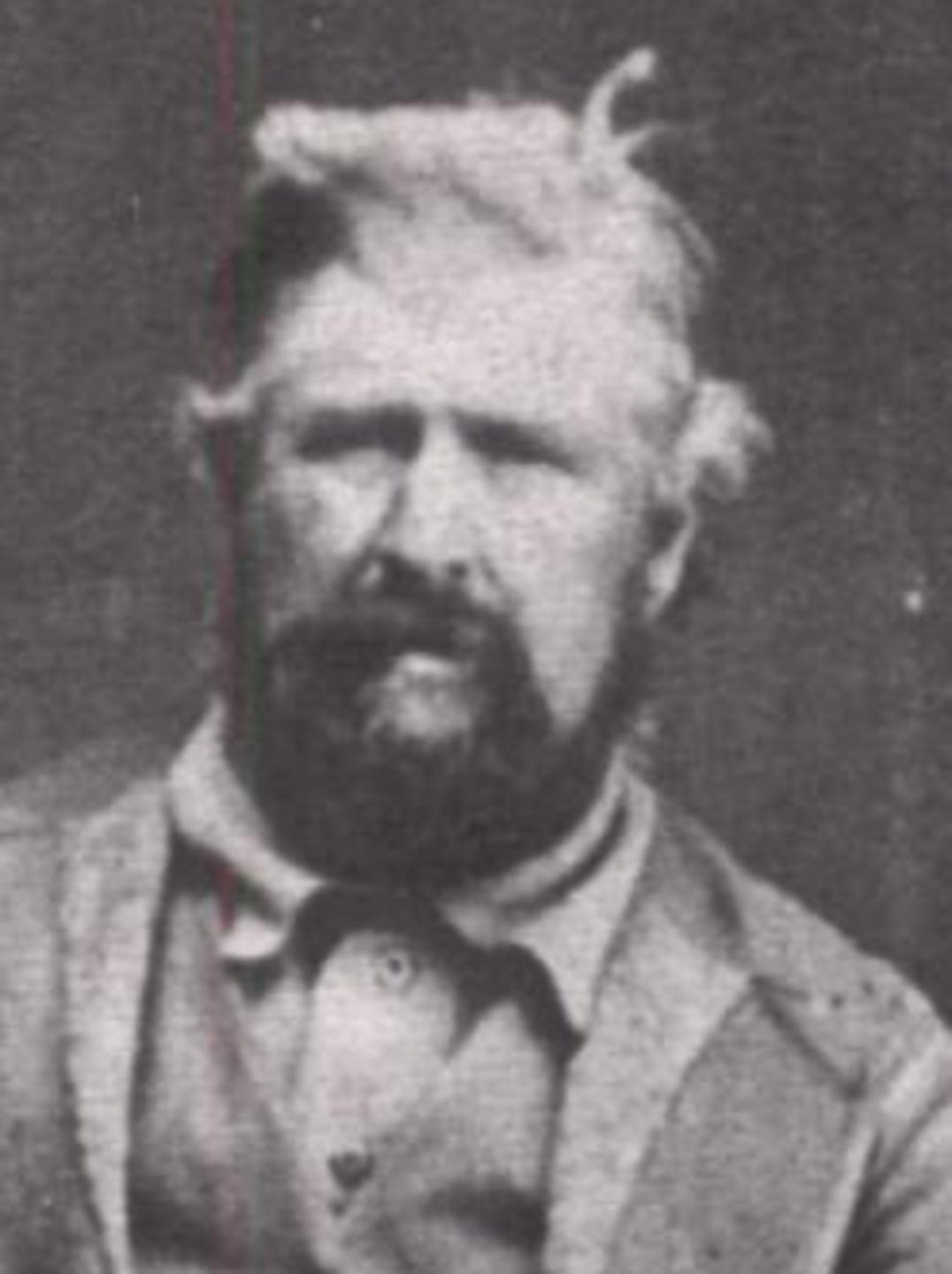 Williamson Wesley Jolley Sr. (1839 - 1911) Profile
